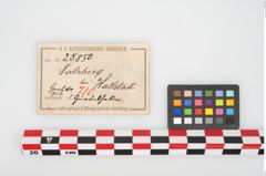 Etikett zu Eisengürtelhaken (NHMW-PRAE-025850)